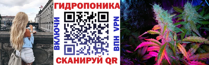 дарнет шоп  Кирс  Каннабис план 